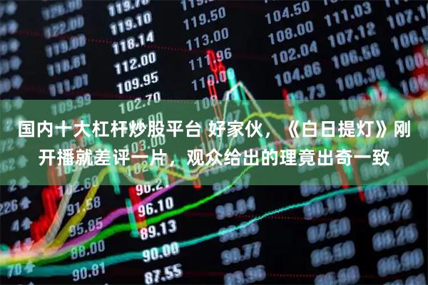 国内十大杠杆炒股平台 好家伙,《白日提灯》刚开播就差评一片,观众给出的理竟出奇一致