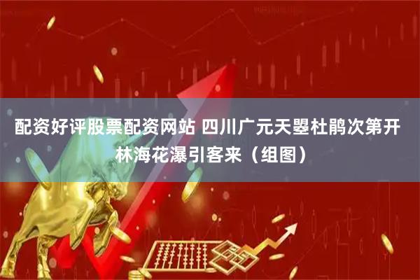 配资好评股票配资网站 四川广元天曌杜鹃次第开 林海花瀑引客来（组图）